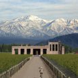 Vineyard and winery, Province of Mendoza
