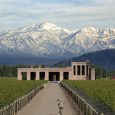 Viñedo y Bodega, Provincia de Mendoza