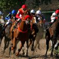 Carrera de caballos, Hipódromo de Palermo, Ciudad de Buenos Aires