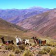 La Puna, Province of Jujuy