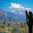 Parque Nacional Los Cardones, Provincia de Salta