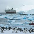 Barco y pingüinos, Antártida Argentina