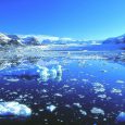 Témpanos de hielo, Antártida Argentina